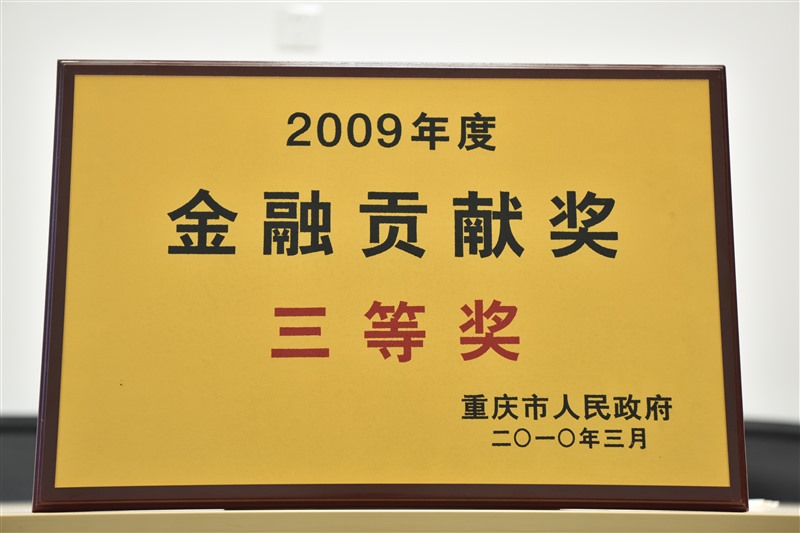 2009年度金融贡献奖