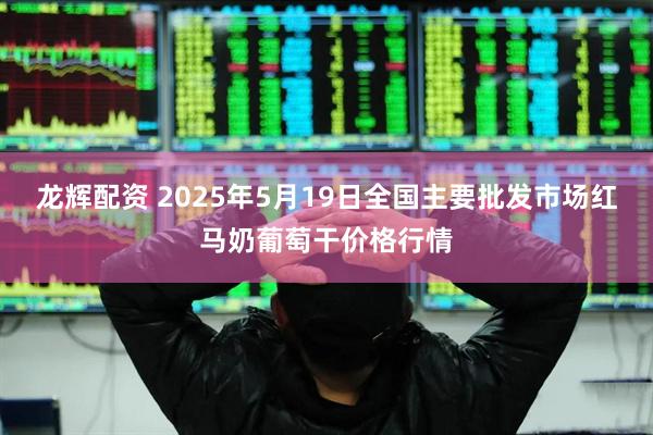 龙辉配资 2025年5月19日全国主要批发市场红马奶葡萄干价格行情