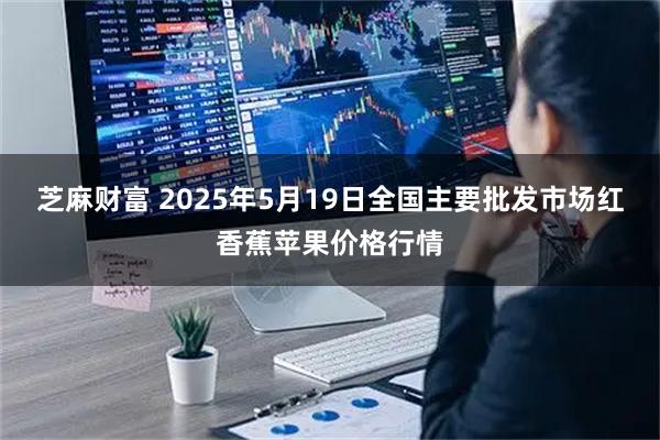 芝麻财富 2025年5月19日全国主要批发市场红香蕉苹果价格行情