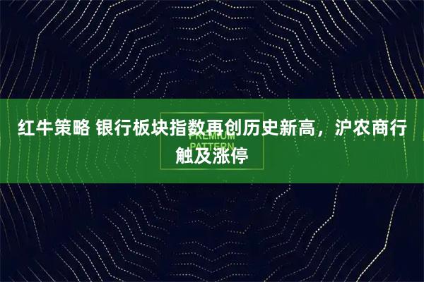 红牛策略 银行板块指数再创历史新高，沪农商行触及涨停