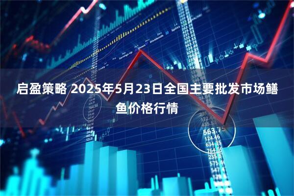 启盈策略 2025年5月23日全国主要批发市场鳝鱼价格行情