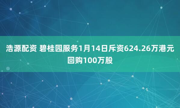 浩源配资 碧桂园服务1月14日斥资624.26万港元回购100万股
